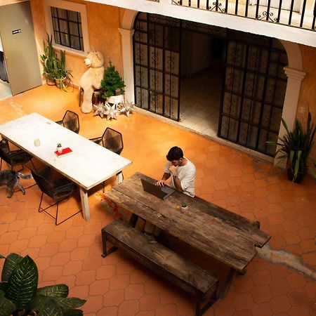 Lool Beh Hostal San Miguel de Allende Exterior foto